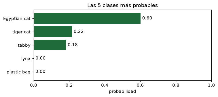 Gráfico de las cinco clases más probables