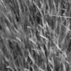 Recorte de hojas de arroz en escala de grises