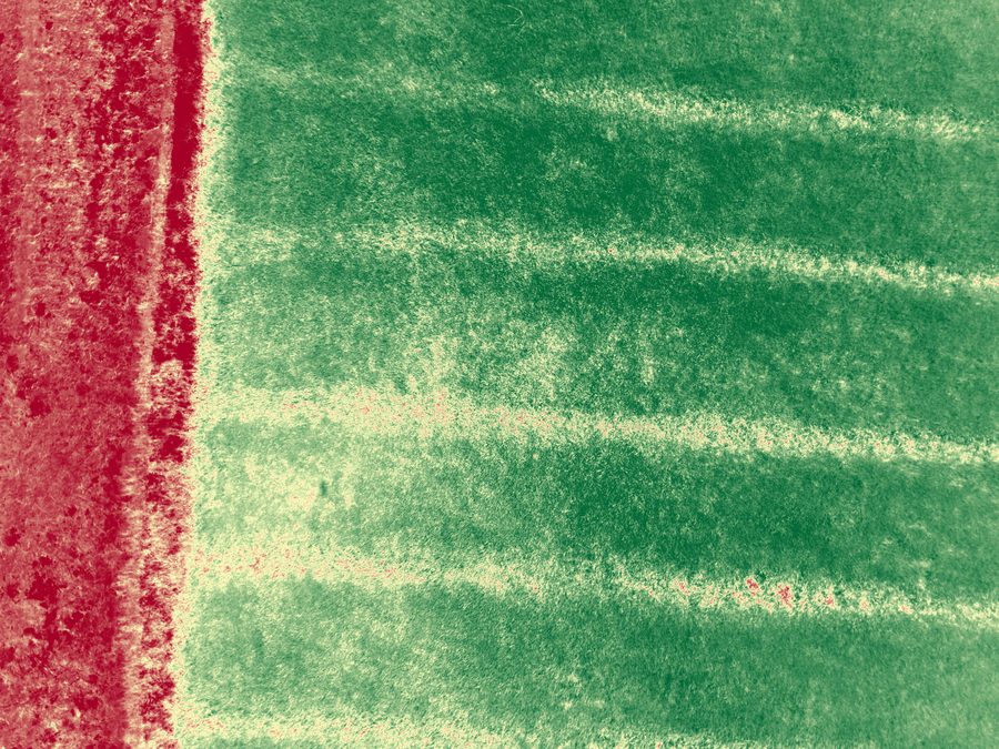 Mapa NDVI